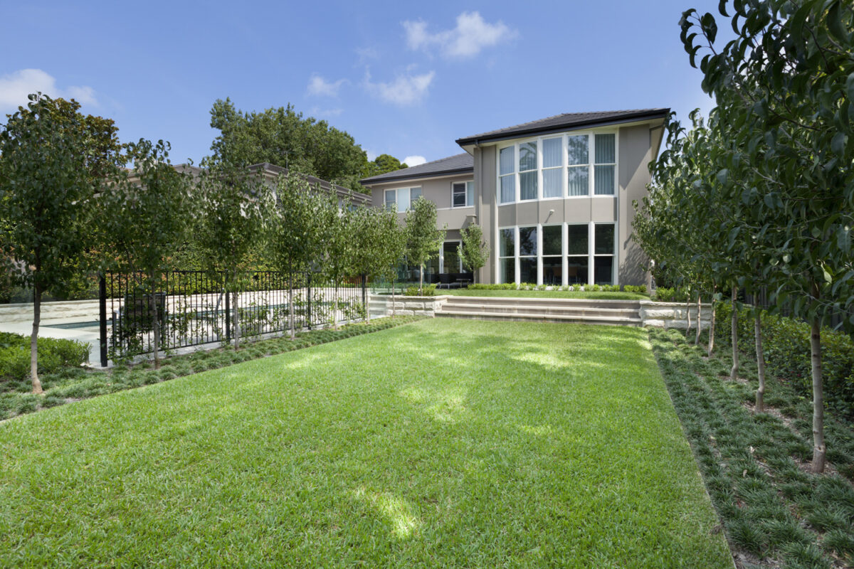 Hunters Hill Modern Traditional: Sprawling green lawn in backyard